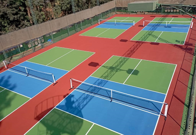 Tennis In India